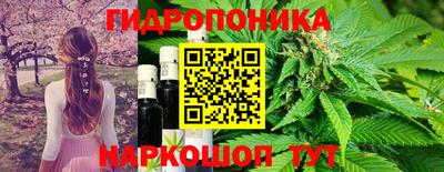бошки Аша