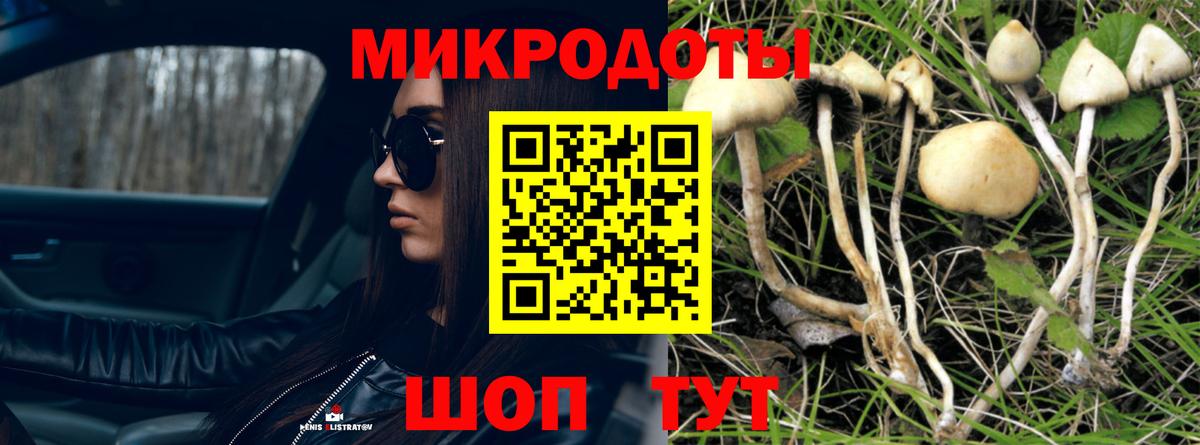 Галлюциногенные грибы GOLDEN TEACHER Сочи