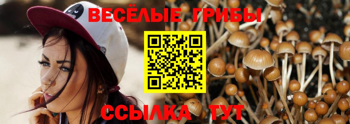 как найти наркотики  Псилоцибиновые грибы мицелий  Вход с VPN  Сочи 